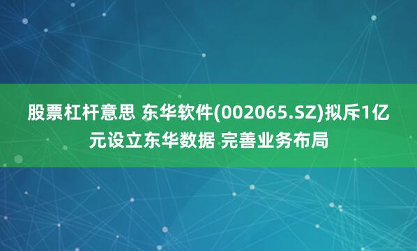 股票杠杆意思 东华软件(002065.SZ)拟斥1亿元设立东华数据 完善业务布局