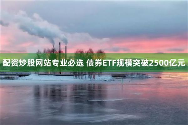 配资炒股网站专业必选 债券ETF规模突破2500亿元