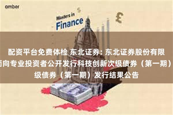 配资平台免费体检 东北证券: 东北证券股份有限公司2025年面向专业投资者公开发行科技创新次级债券(第一期)发行结果公告