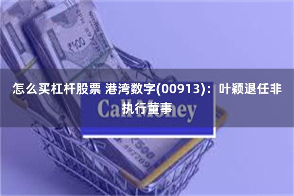 怎么买杠杆股票 港湾数字(00913)：叶颖退任非执行董事
