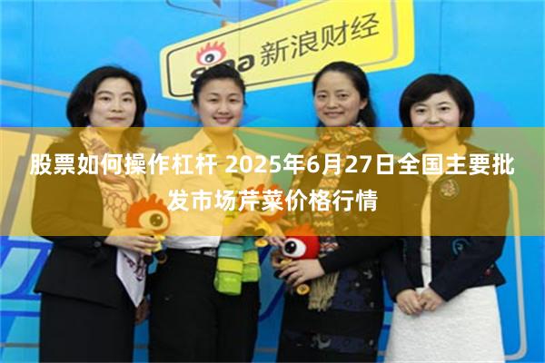 股票如何操作杠杆 2025年6月27日全国主要批发市场芹菜价格行情