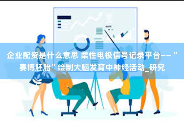 企业配资是什么意思 柔性电极信号记录平台——“赛博胚胎”绘制大脑发育中神经活动_研究
