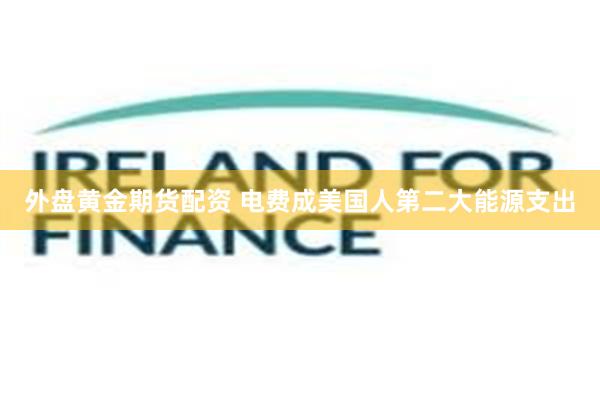 外盘黄金期货配资 电费成美国人第二大能源支出