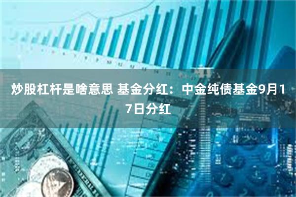 炒股杠杆是啥意思 基金分红：中金纯债基金9月17日分红